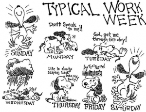 Does your week look like this?!